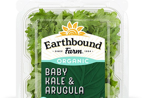 Organic Baby Kale and Arugula
