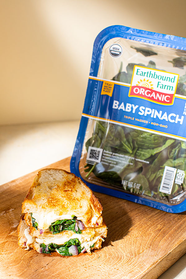 Spinach and Mozzarella Grilled Cheese Sandwich Image