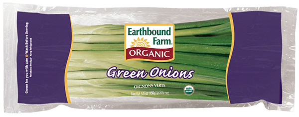 fresh organic green onions